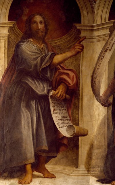 Izajasz, fragment z Proroków, fresk, kościół św. Franciszka, kaplica św. Anny, Cortemaggiore, Włochy autorstwa Giovanni Antonio Pordenone