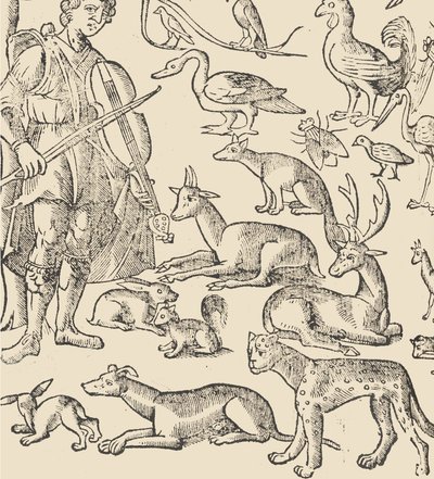 Przykład recammi, strona 12 verso, 1530. autorstwa Giovanni Antonio Tagliente