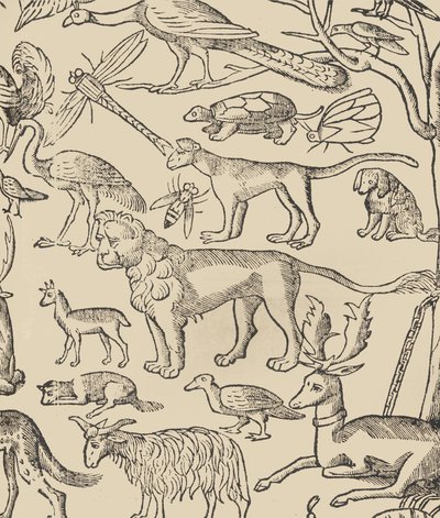 Przykład recammi, strona 13 recto, 1530. autorstwa Giovanni Antonio Tagliente