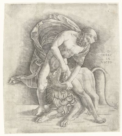 Herkules walczący z lwem nemeńskim Herkules podbija lwa nemejskiego D HERC IN VICTO (tytuł na obiekcie) autorstwa Giovanni Antonio da Brescia