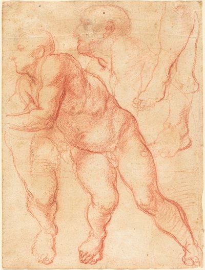 Studia aktu męskiego autorstwa Giovanni Battista Naldini
