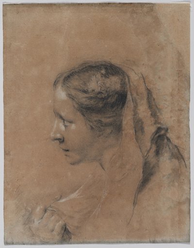 Głowa kobiety w profilu z szalikiem. autorstwa Giovanni Battista Piazzetta
