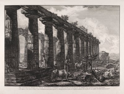 Widok z boku świątyni Juno autorstwa Giovanni-Battista Piranesi