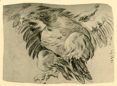 Orzeł, 1751-1752, 1928 autorstwa Giovanni Battista Tiepolo