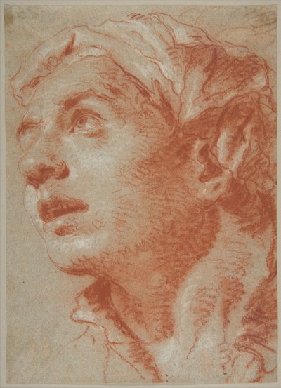 Głowa młodego mężczyzny w ujęciu trzy czwarte autorstwa Giovanni Battista Tiepolo