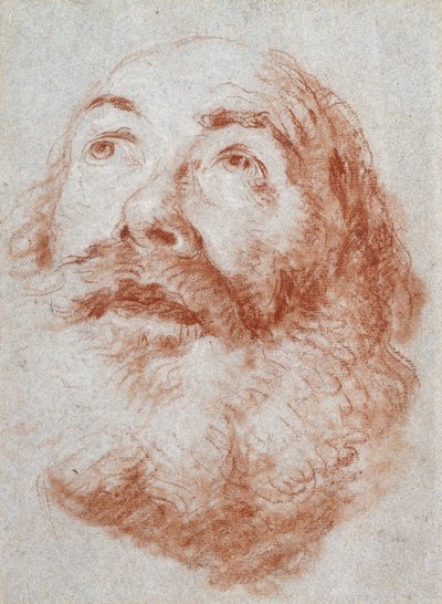 Głowa starego człowieka patrzącego w górę, autorstwa Giovanni Battista Tiepolo