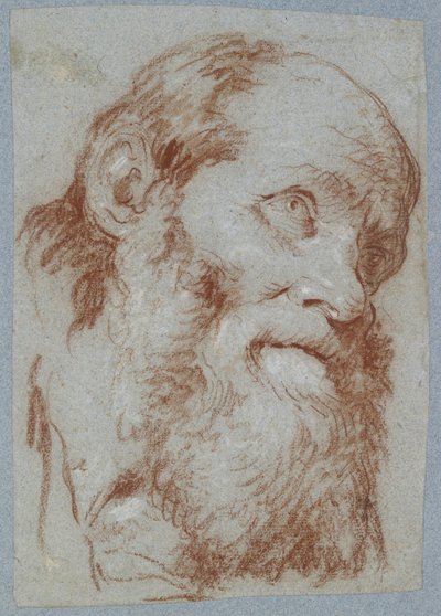 Głowa starego brodatego mężczyzny (czerwona kreda, zmatowiona bielą, na wyblakłym szaroniebieskim papierze) autorstwa Giovanni Battista Tiepolo