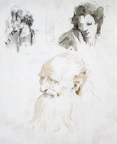 Trzy badania głów (pióro, tusz i pranie na papierze) autorstwa Giovanni Battista Tiepolo