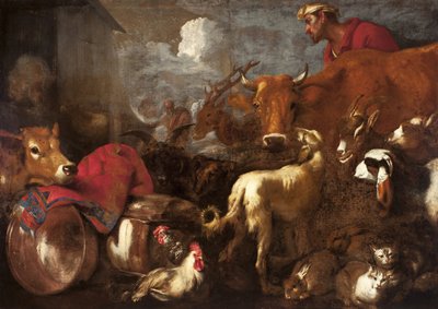 Tablica ze zwierzętami Arka Noego - Tablica ze zwierzętami Arka Noego autorstwa Castiglione, Giovanni Benedetto (1610-1665). Olej na płótnie, format: 170x238 autorstwa Giovanni Benedetto Castiglione