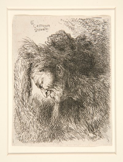 Figura w futrzanej czapce, zwrócona w lewo, z serii Małe studia nad głowami autorstwa Giovanni Benedetto Castiglione