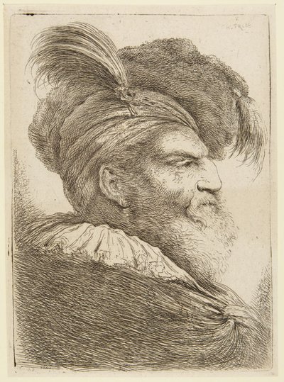 Głowa brodatego mężczyzny w kapeluszu z piórami autorstwa Giovanni Benedetto Castiglione