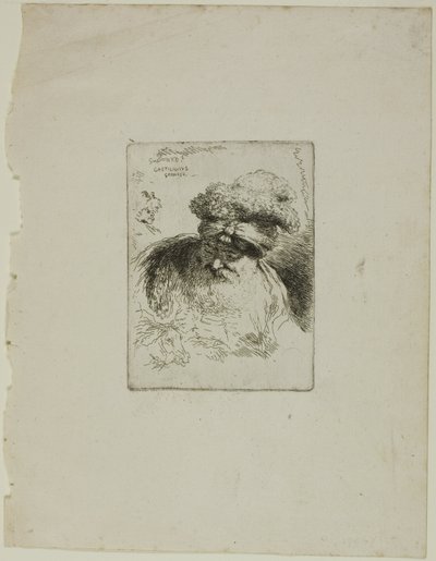 Starzec z turbanem autorstwa Giovanni Benedetto Castiglione