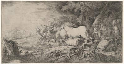 Zwierzęta zmierzające w stronę arki autorstwa Giovanni Benedetto Castiglione
