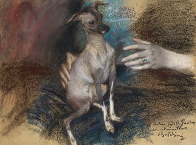 Elegancka Dama z Psem (pastelowo-węglowy na papierze) autorstwa Giovanni Boldini