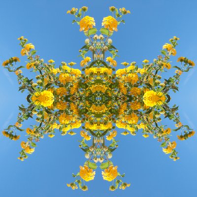 Nienaturalny 193 (zdjęcie zmanipulowane cyfrowo) autorstwa Giovanni Cafagna