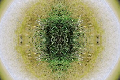 Unnatural 6.1 (zdjęcie zmanipulowane cyfrowo) autorstwa Giovanni Cafagna