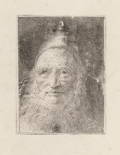 Brodaty starzec w kapeluszu, z Raccolta di Teste (Kolekcja głów) autorstwa Giovanni Domenico Tiepolo