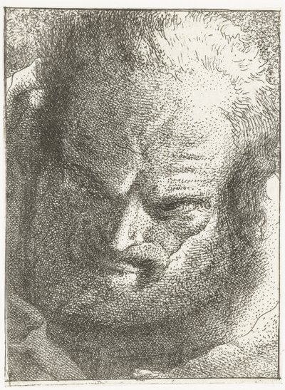 Mężczyzna patrzy w dół Kolekcja głów (tytuł serii) Raccolta di Teste (tytuł serii) autorstwa Giovanni Domenico Tiepolo
