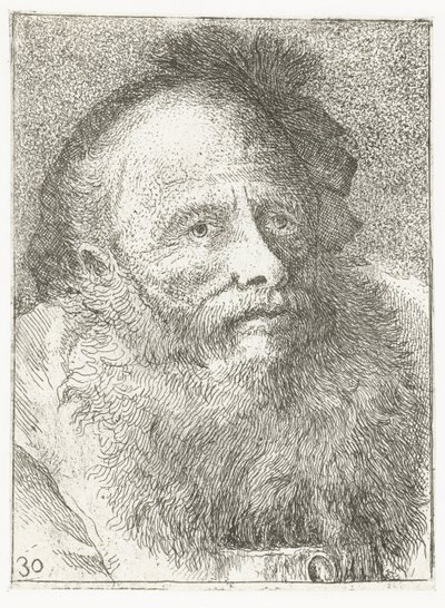 Mężczyzna z brodą i nakryciem głowy z piórami Kolekcja głów (tytuł serii) Raccolta di Teste (tytuł serii) autorstwa Giovanni Domenico Tiepolo