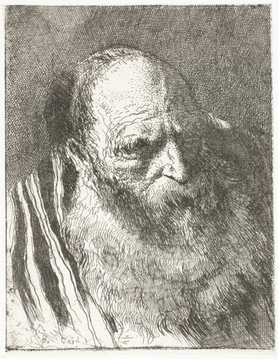 Mężczyzna z brodą w pasiastym płaszczu Kolekcja głów (tytuł serii) Raccolta di Teste (tytuł serii) autorstwa Giovanni Domenico Tiepolo