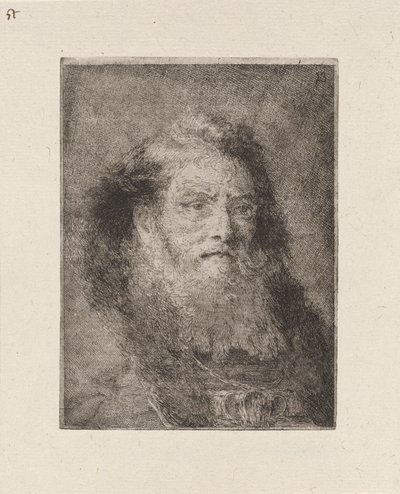 Stary człowiek z gołą głową, z Raccolta di Teste (Kolekcja głów) autorstwa Giovanni Domenico Tiepolo
