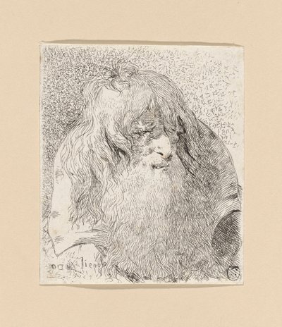 Staruszek z brodą i długimi włosami, z Raccolta di Teste (Kolekcja głów) autorstwa Giovanni Domenico Tiepolo