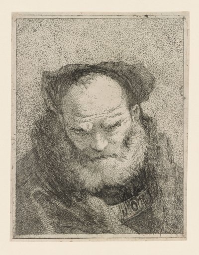Stary mężczyzna z brodą, z Raccolta di Teste (Zbiór głów) autorstwa Giovanni Domenico Tiepolo