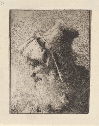 Profil starszego mężczyzny z brodą, z Raccolta di Teste (Zbiór głów) autorstwa Giovanni Domenico Tiepolo