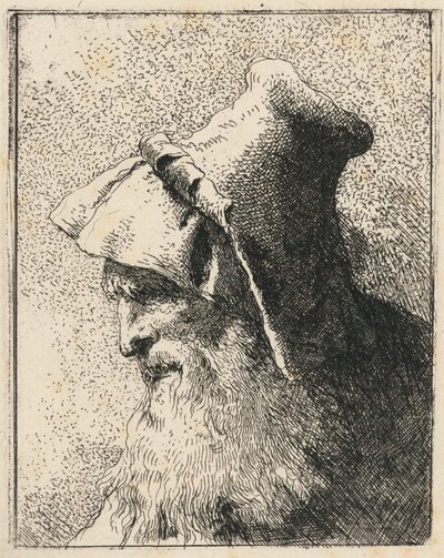Profil starego mężczyzny z brodą autorstwa Giovanni Domenico Tiepolo