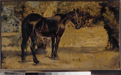 Ciemny koń (olej na płótnie) autorstwa Giovanni Fattori