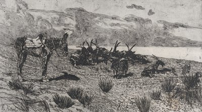 Osioł i kozy nad brzegiem morza zimą, 1884-1908. autorstwa Giovanni Fattori