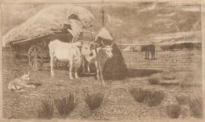 Woły zaprzęgnięte do wozu (Maremma) (Bovi al carro (Maremma)) autorstwa Giovanni Fattori
