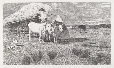 Woły zaprzężone do wozu (Maremma) autorstwa Giovanni Fattori