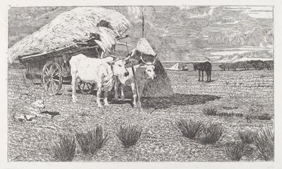 Woły zaprzęgnięte do wozu (Maremma) [Bovi al carro (Maremma)] autorstwa Giovanni Fattori