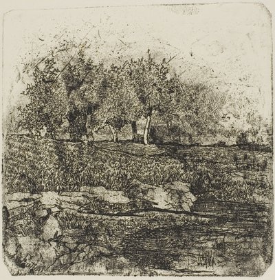 Drzewa na łące autorstwa Giovanni Fattori