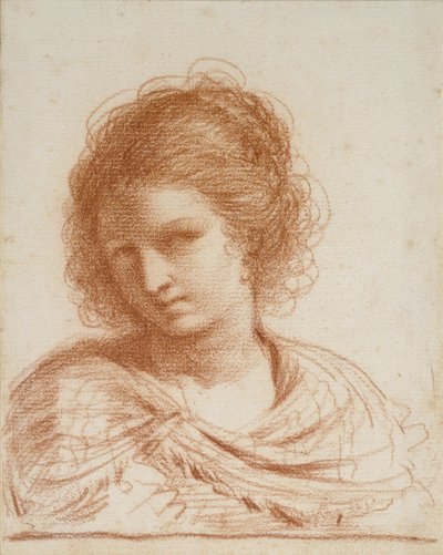 Głowa młodej kobiety, 1650 - 1666 (czerwona kreda na białym papierze) autorstwa Giovanni Francesco Barbieri