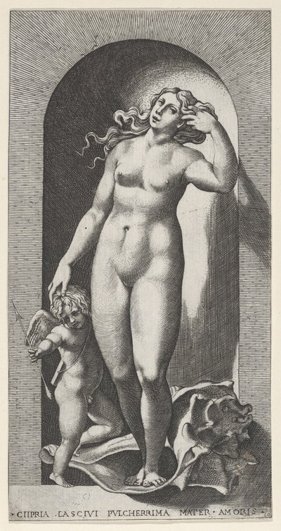 Obrazek 10: Wenus w niszy, stojąca na muszli, z Kupidynem po jej prawej stronie, z ser..., 1526. autorstwa Giovanni Jacopo Caraglio