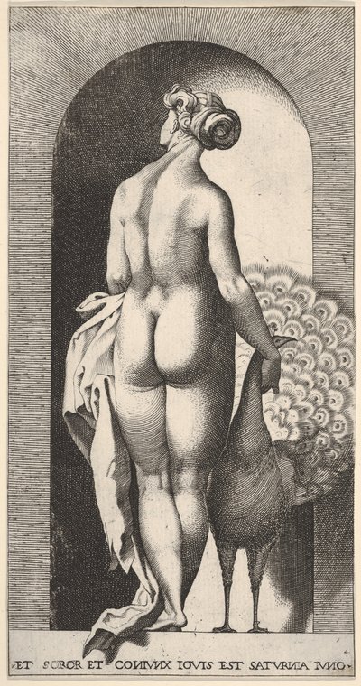 Ilustracja 4: Junona stojąca w niszy, widziana od tyłu, głaszcząca pawia po swojej prawej stronie, fr..., 1526. autorstwa Giovanni Jacopo Caraglio
