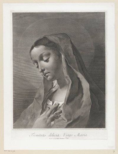 Maria Najświętsza Maryja Panna Trójcy (tytuł na obiekcie) autorstwa Giovanni Marco Pitteri