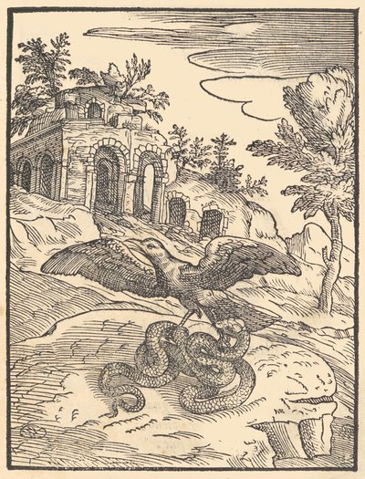 Ptak i wąż, 1570. autorstwa Giovanni Maria Verdizotti