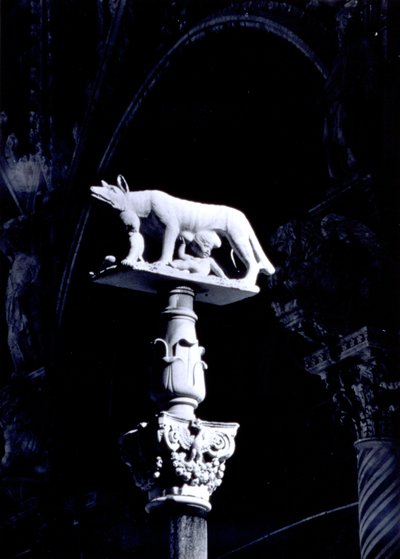 Wilk Sieneński z bliźniakami Romulusem i Remusem, fasada Piazza del Duomo (marmur) autorstwa Giovanni Pisano
