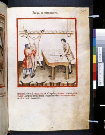 Theatrum sanitatis Ububchasyma de Baldacha: "Adeps et Pinguedo", pierwsza dekada XIV wieku (miniatura) autorstwa Giovannino de