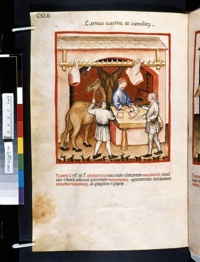 Theatrum sanitatis Ububchasyma de Baldach: "Carnes Va cinae et Camelorum", pierwsza dekada XIV wieku (miniatura) autorstwa Giovannino de