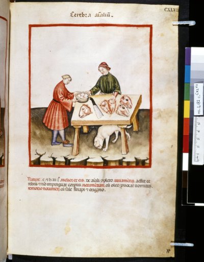 Theatrum sanitatis Ububchasyma de Baldach: Cerebra Animalium", pierwsza dekada XIV wieku (miniatura) autorstwa Giovannino de