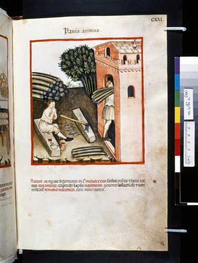 Theatrum sanitatis Ububchasyma de Baldach: "Panis Azimus", pierwsza dekada XIV wieku (miniatura) autorstwa Giovannino de