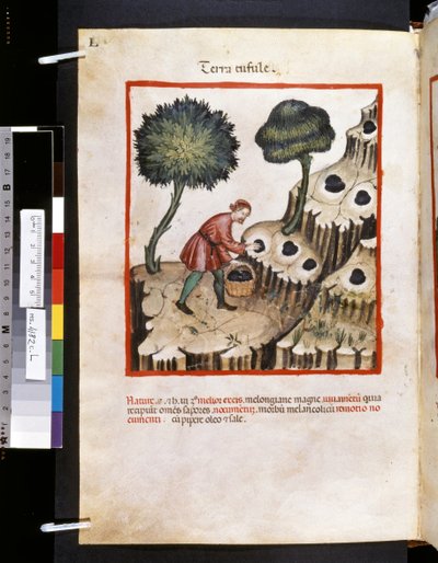 Theatrum sanitatis Ububchasyma de Baldach: "Terra Tufule", pierwsza dekada XIV wieku (miniatura) autorstwa Giovannino de