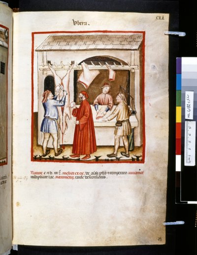 Theatrum sanitatis Ububchasyma de Baldach: "Ubera", pierwsza dekada XIV wieku (miniatura) autorstwa Giovannino de
