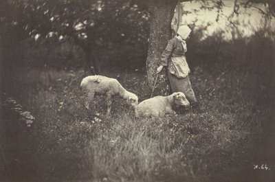 Pasterka oparta o drzewo z dwiema owcami, 1870. autorstwa Giraudon