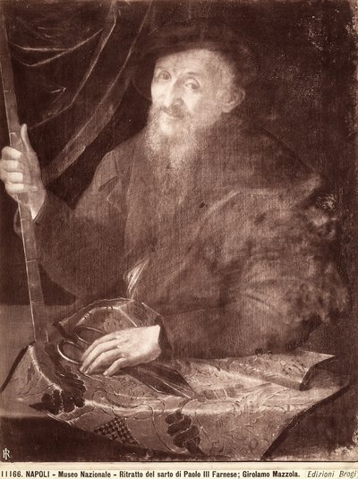 Portret krawca, 1520-69 autorstwa Girolamo Mazzola Bedoli