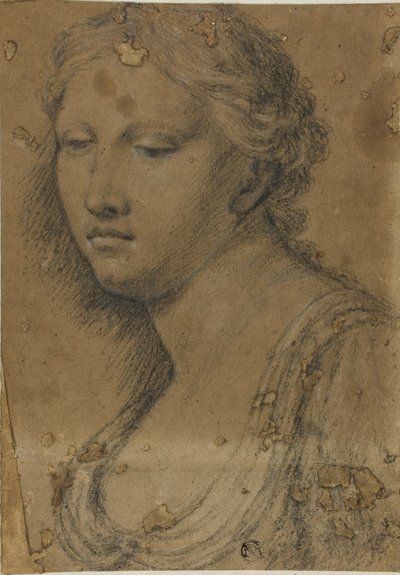 Popiersie kobiety autorstwa Girolamo da Carpi